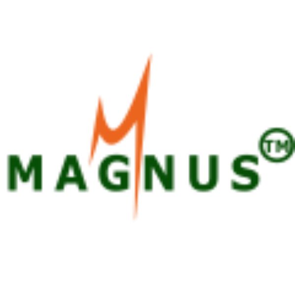 Magnus IT Solutions Pvt. Ltd.