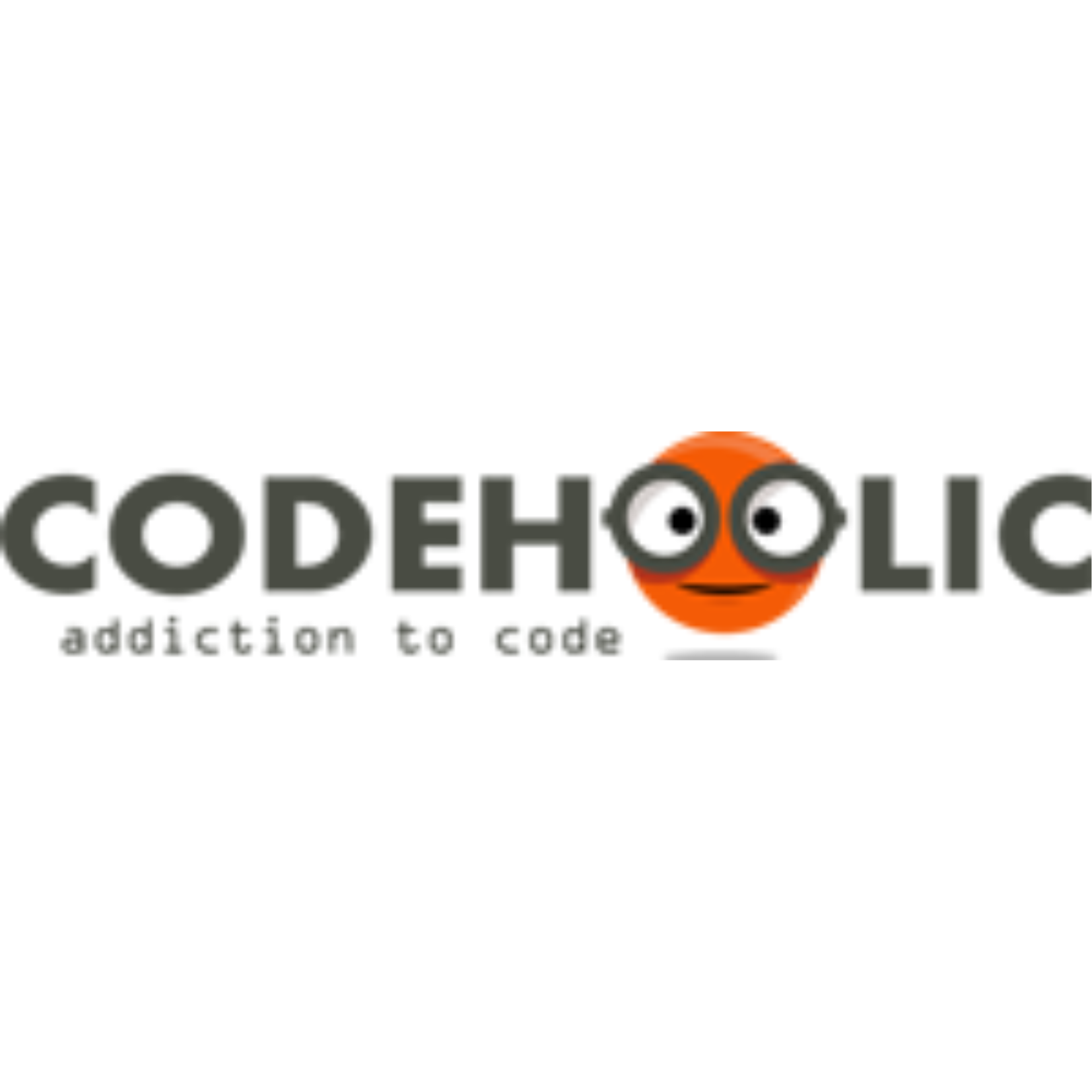 Codeholic IT Services