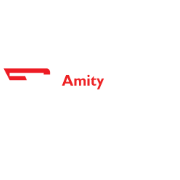 Amity Edge Solutions