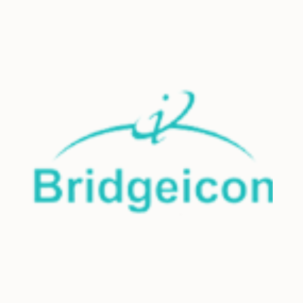 Bridgeicon IT Services