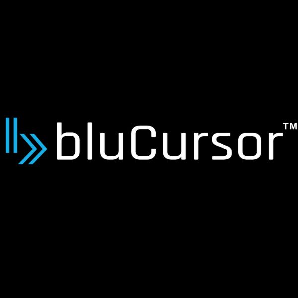 bluCursor Infotech Pvt Ltd